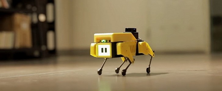 Meet Mini Pupper, the robot dog that cab hop, trot, and run around