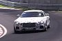 Mercedes-AMG GT (C190) Looks Very Composed on the Nordschleife