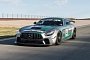 Mercedes-AMG GT4 Is One Expensive Customer Racing Car