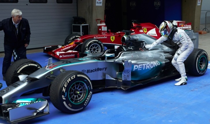 Lewis Hamilton Petting The F1 W05