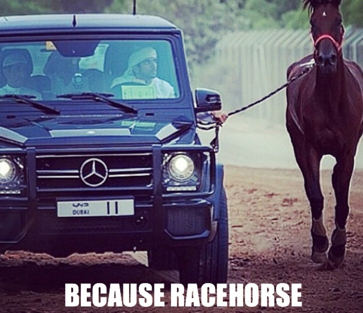 Mercedes G63 AMG used for training a race horse