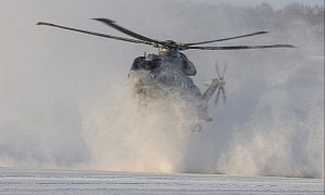 Merlins and Wildcats Hide in Snow Clouds Deep Inside the Arctic Circle