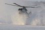 Merlins and Wildcats Hide in Snow Clouds Deep Inside the Arctic Circle