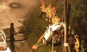 Miami Police Car Crashed... Up a Pole