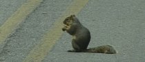 Michigan Woman Tries to Save Squirrel, Hits Parked Car, Then Flips Hers