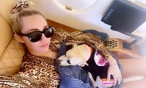 Miley Cyrus Jokes Her Dog Owns Her Private Jet, She Just Flies In It