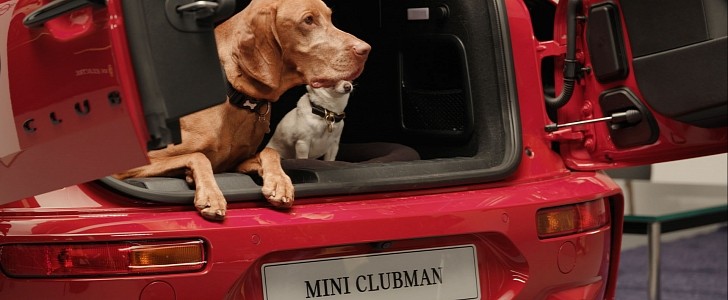 MINI wants to become the first dog-friendly car retailer