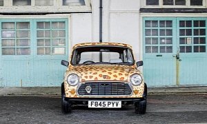 Mini ‘Rose’ Owned by Billionaire Mohamed Al-Fayed Goes On Auction