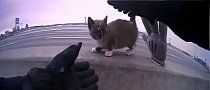 Missouri Cop Stops Traffic to Save Kitty Stranded on Highway Median