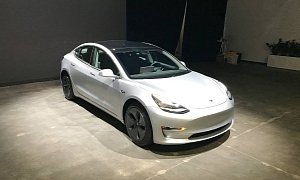 Model 3 Rentals Cost as Much as $990 a Day