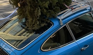 Model Elsa Hosk Carries Her Christmas Tree on Top of a Classic Porsche 911