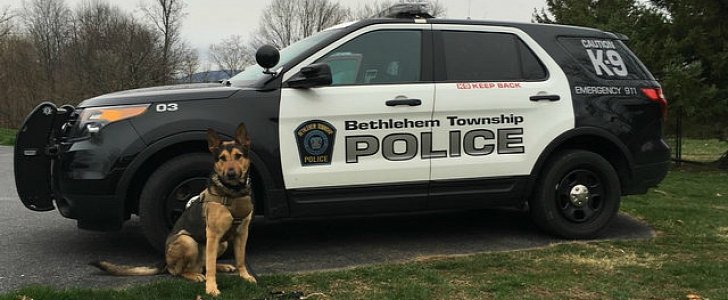 Bethlehem Township police arrest mom for driving with her son on the hood of the car