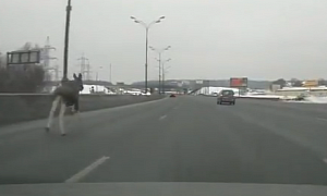 Moose Needs Traction Control on Moscow Ring Road