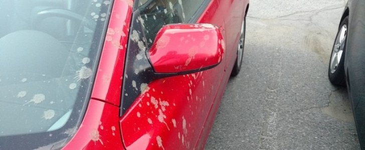 Woman's car hit by human poop falling from the sky