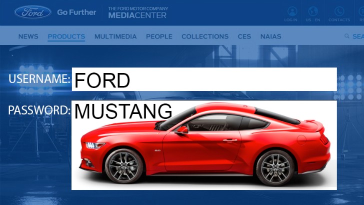 Mustang password