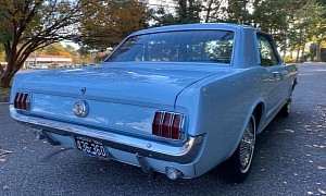 Mrs. Haynes' 1966 Ford Mustang Was Beautifully Babied for 51 Years, Needs Nothing