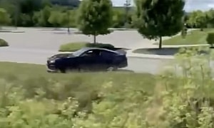 Ford Mustang Attacked by Tree That Came out of Nowhere, That F-150 Might Also Be Guilty
