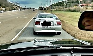 Mustang Driver Caught Doing 107 MPH to Get Crickets to Feed His Geckos
