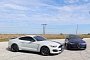 Mustang GT350 Proves America Makes Great Cars by Taking on Giulia Quadrifoglio