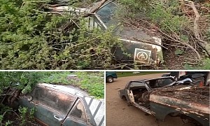 Mysterious 1964 Ford Mustang Spent Almost 50 Years in the Woods, Is Now a Sad Sight