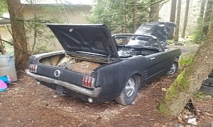 Mysterious 1965 Ford Mustang Lived in the Woods, Now Ready for the Tarmac