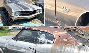 Mysterious 1971 Chevrolet Chevelle Could Be a Backyard Gem, Internet Detectives Needed