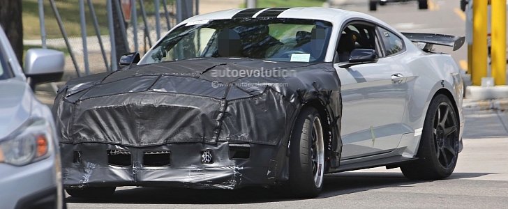 2019 Shelby GT500 Mustang test mule