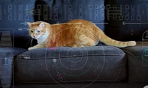NASA Catches Laser Beam From a Spaceship Millions of Miles Away, Finds a Cat Video Inside