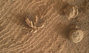 NASA Curiosity Rover Spots Strange Flower-Like Structure on Mars