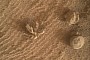 NASA Curiosity Rover Spots Strange Flower-Like Structure on Mars