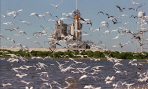 NASA Delays Endeavor Launch