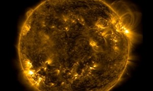 NASA Claims the Sun is Having a Temper Tantrum, Solar Flared Eight Times in One Week