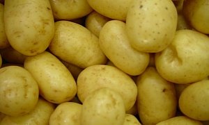 NASA Wants to Grow Potatoes on Mars and Revolutionize Space Travel