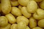 NASA Wants to Grow Potatoes on Mars and Revolutionize Space Travel