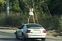 Nashville Woman Twerks on Top of Moving Mustang, Turns Up in Traffic