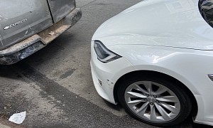Nassim Nicholas Taleb Criticizes Tesla Yet Again, Now For Autopark