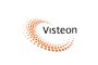 Visteon Gets More Time to Seek Reorganization Plan