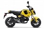 New Honda Grom Leads Pack of Upgraded Japanese Two-Wheelers to U.S. Stores