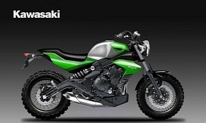 New Kawasaki ER-6 Designs That Would Look Great in Real Life