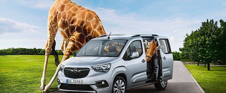 How many giraffes can you get in an Opel?