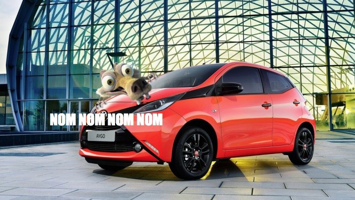 Toyota Aygo gets chewed by squirrels