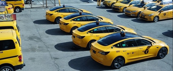 Tesla Taxi Fleet