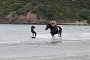 New Zealand Adventurer Literally Uses Horse Power for Wakeboarding