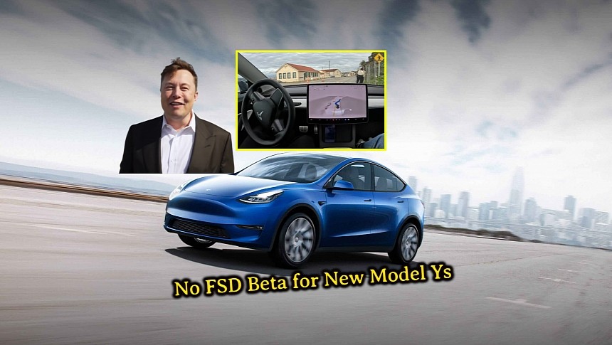 Tesla Model Y, FSD Beta, and Elon Musk