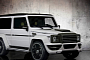 Newport Convertible Wants to Turn the 2013 Mercedes G-Class into a 2-Door
