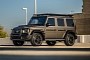Nippy Mercedes G-Class Seems Ready to Overland to Farthest Brabus Club on Earth