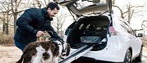 Nissan Builds The Ultimate Car For Dogs, You Can't Have It