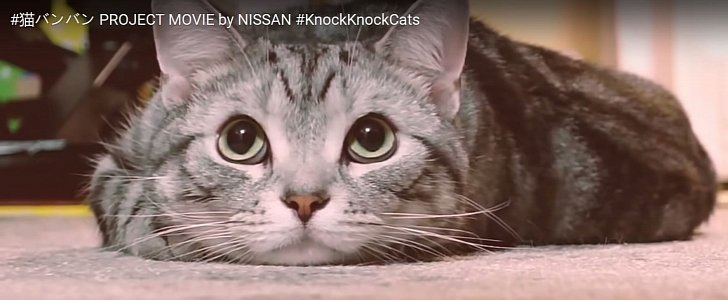 Nissan Reminds Us to Check for Sleeping Cats Before Starting the Engine