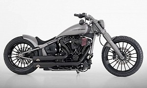 No Custom Harley-Davidson Breakout Ever Looked So Dull, Trade Secrets Save the Day