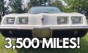 Nobody Really Wants This Fantastic Pontiac Trans Am With 3,500 Miles on the Clock